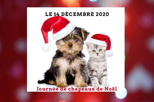 Veuillez bien porter votre chapeau de Noël